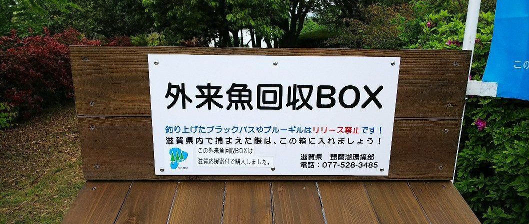 外来魚回収BOX