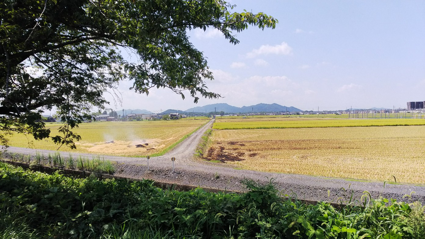 夏と秋のあいだ　宇曽川にて　