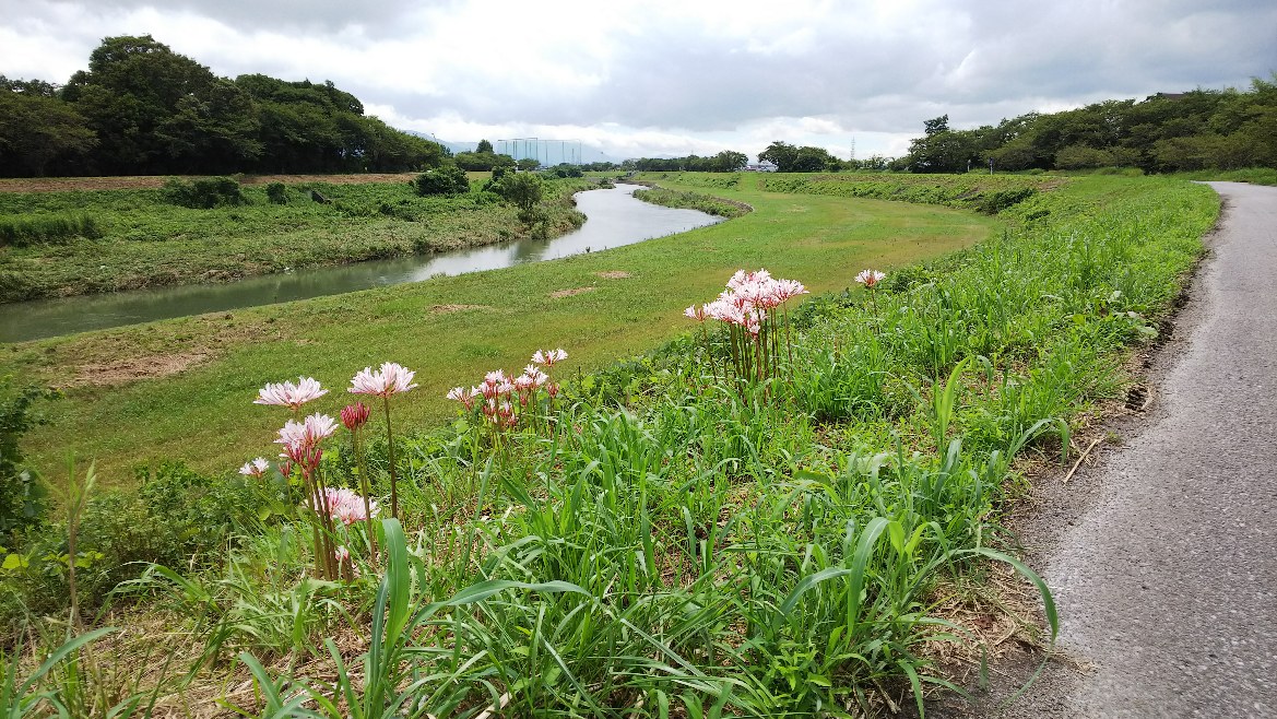 雨上がりの宇曽川