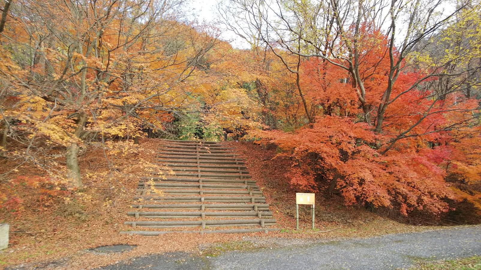 曽根沼公園レポート　2021.12月①