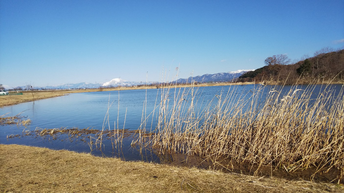 久々の曽根沼公園　2/11