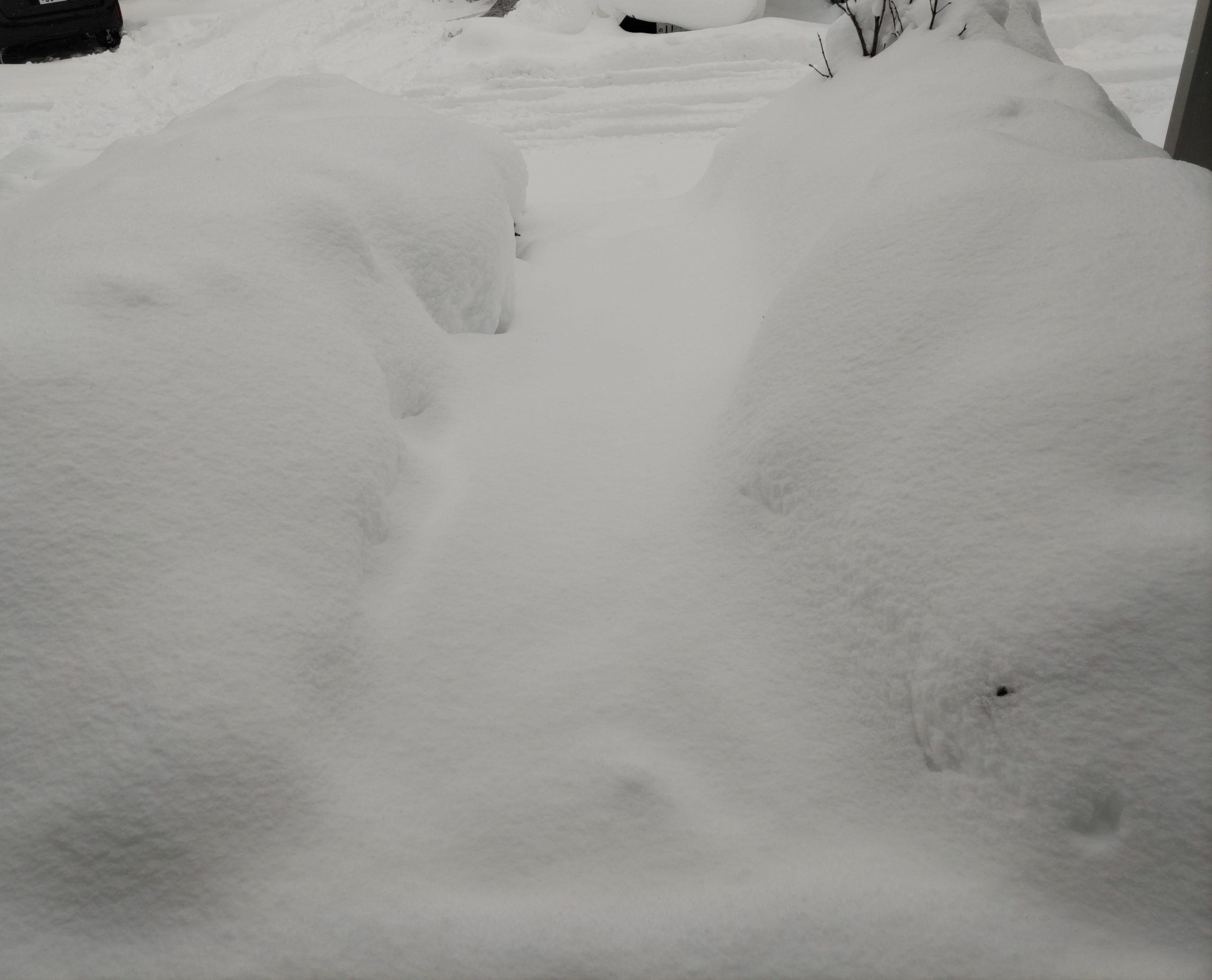 大雪の朝