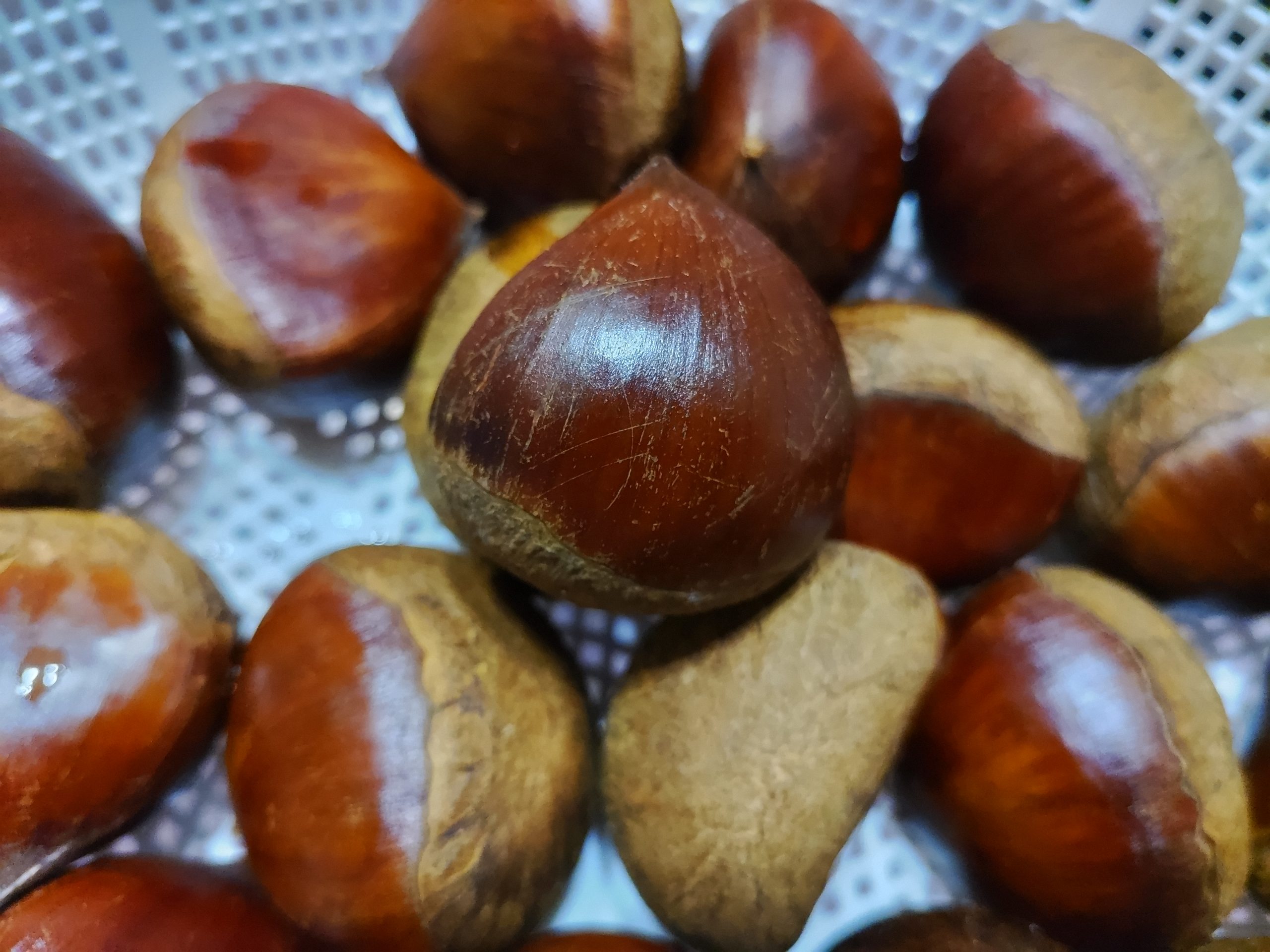 秋の味覚　栗